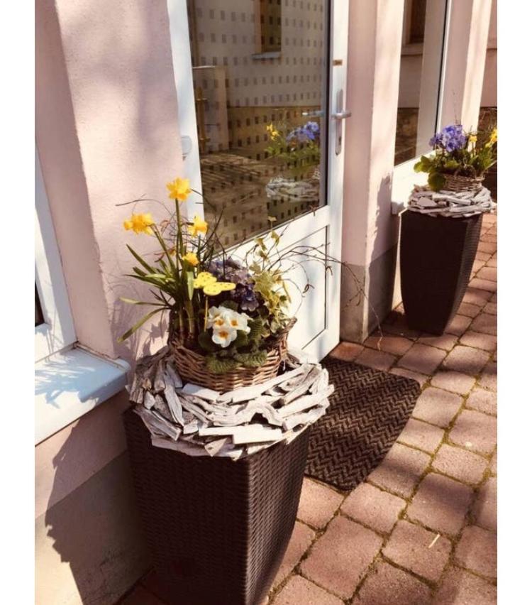 Ferienwohnung Marina An Der Romantischen Strasse Weikersheim Bagian luar foto